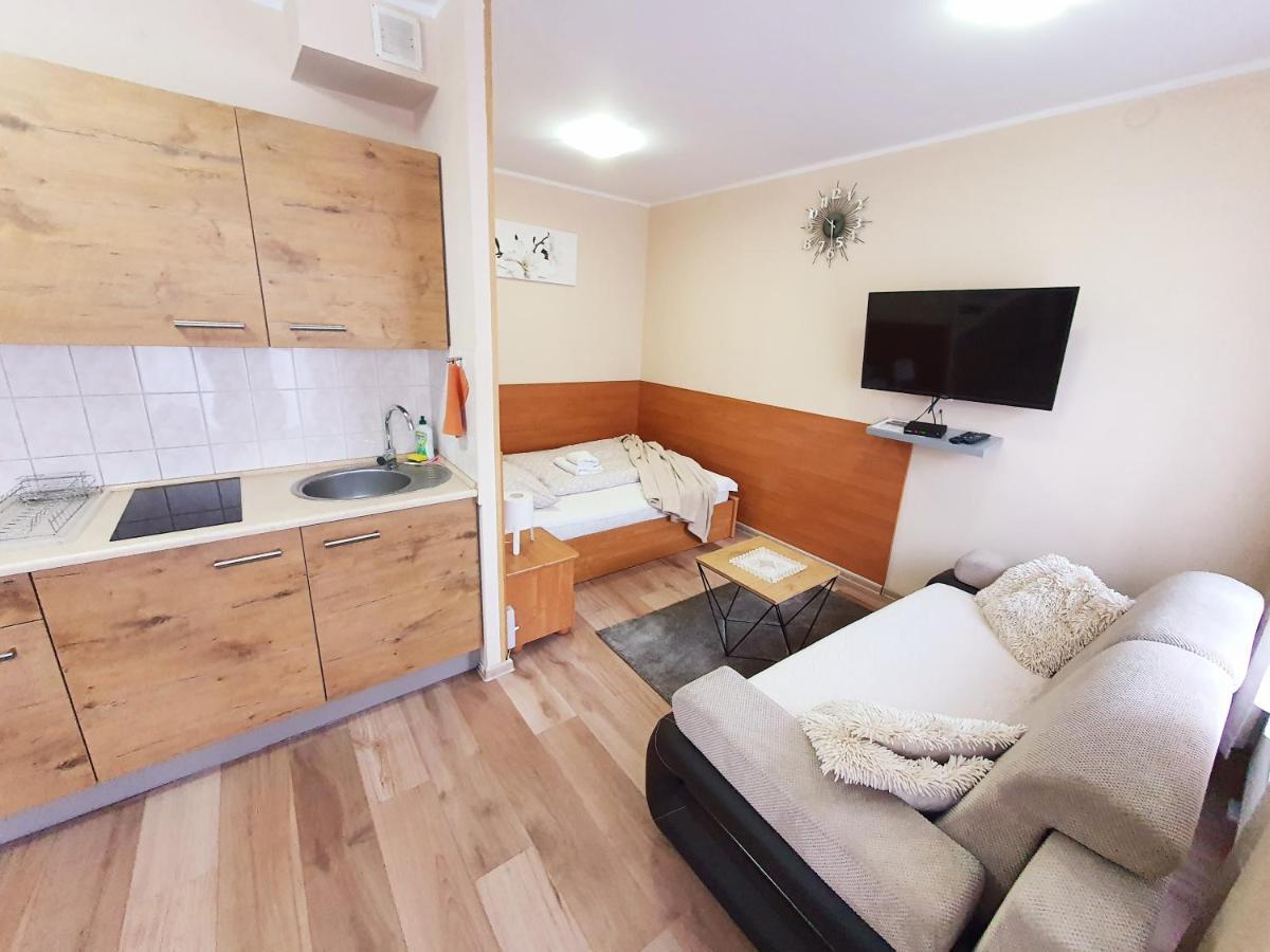 Aparthouse Apartamenty Centrum - In The City Center Near The Train Station Katowice Exterior foto