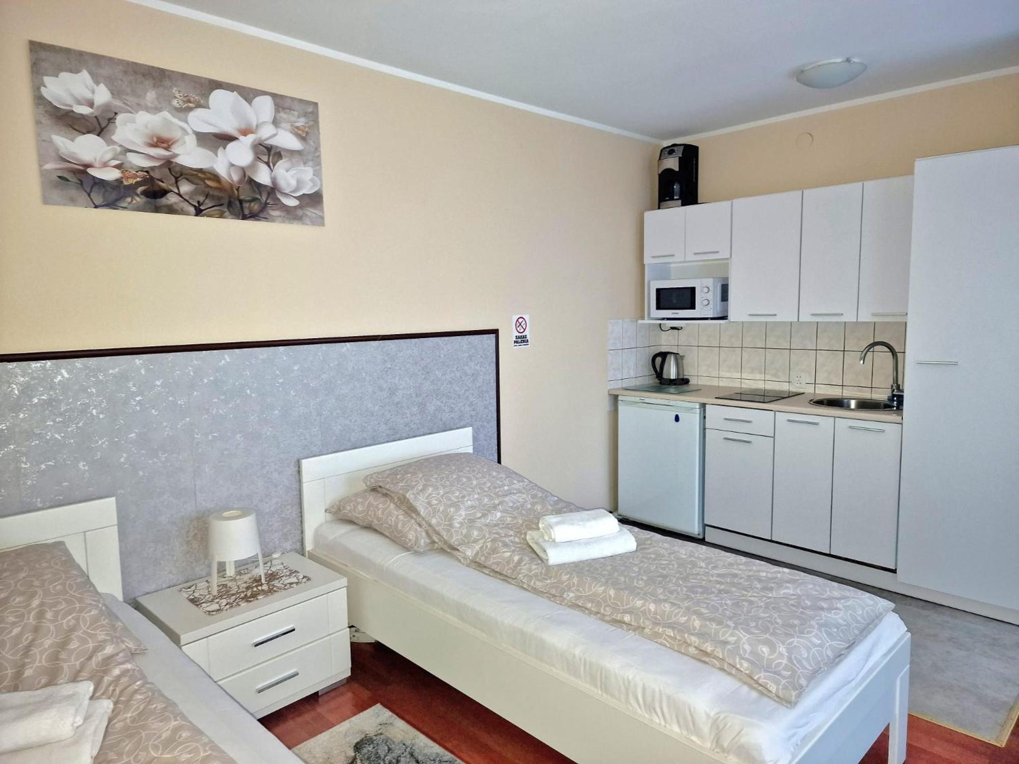 Aparthouse Apartamenty Centrum - In The City Center Near The Train Station Katowice Exterior foto